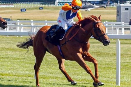 Pat Dobbs Richard Hannon double Newbury Race Results 1 June