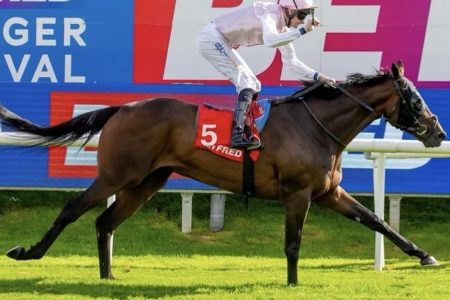 Doncaster racecards 20 June