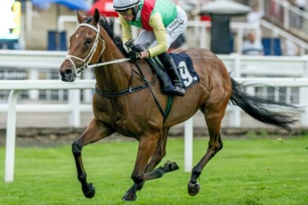 Windsor Race Cards 27 June at Windsor Racecourse