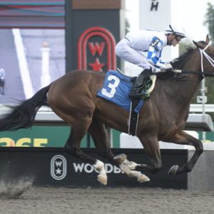 Yukon Striker preparing for the Marine Stakes at Woodbine