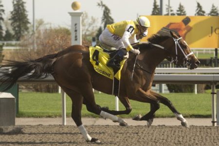 Dixie Law competing in the Selene Stakes preview at Woodbine