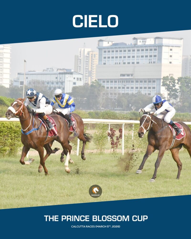 Image for the Tweet beginning: 🐎 A sharp sprinting performance