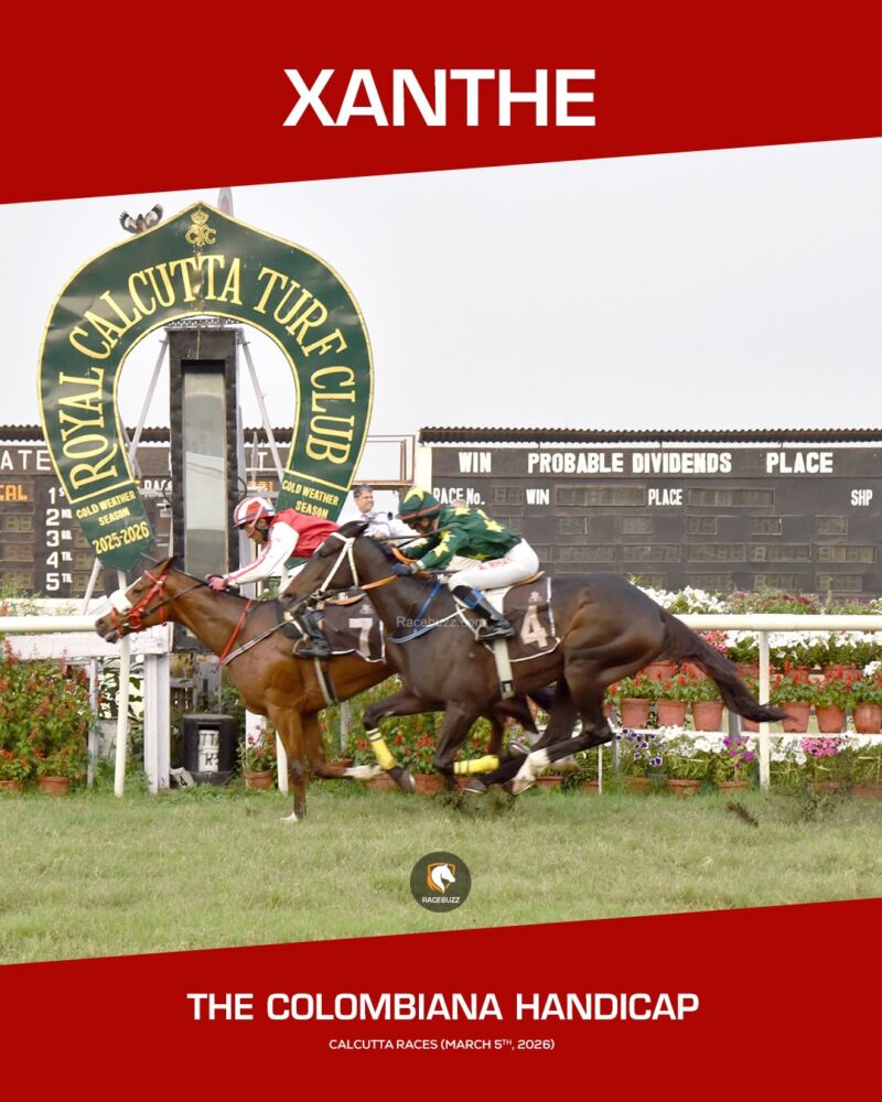 Image for the Tweet beginning: 🏇 XANTHE delivered a stylish