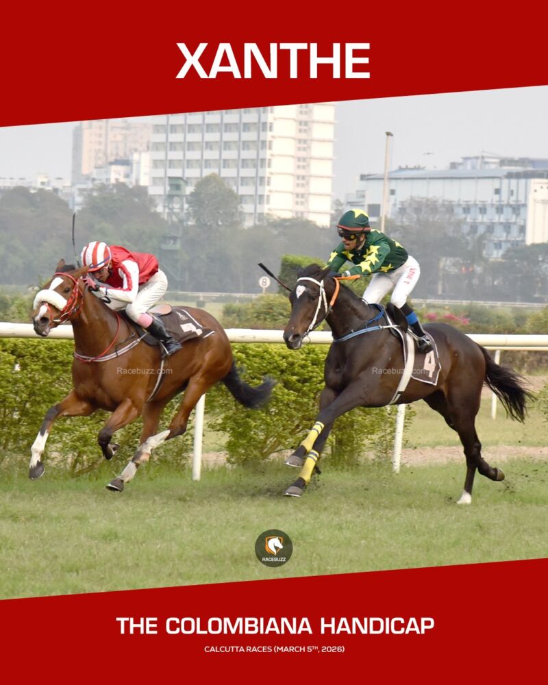 Image for the Tweet beginning: 🏇 XANTHE delivered a stylish